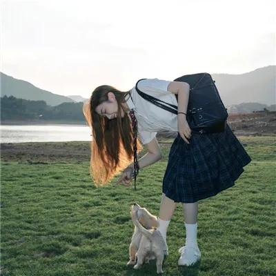 冬之光